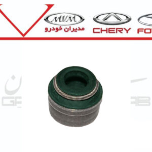 لاستيک ساق سوپاپ X33,530,315