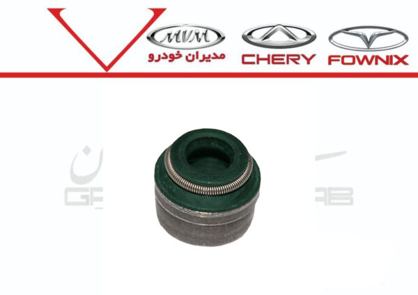 لاستيک ساق سوپاپ X33,530,315 - تصویر 1