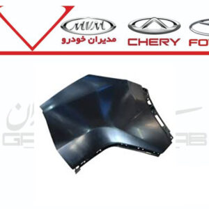 گوشه سپر عقب چپ FX