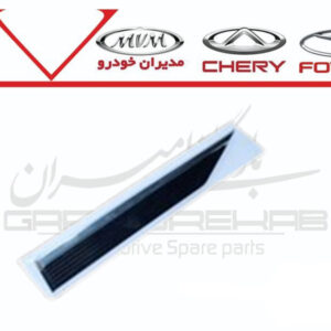 زه روي درب جلو راست آريزو6 پرو