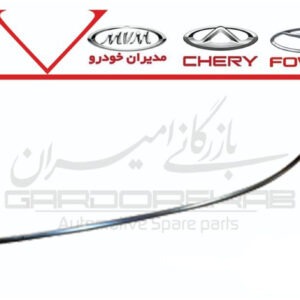 زه استيل روي درب جلو چپ تيگو7 پرو