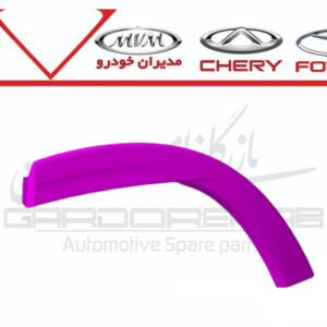 زه دور گلگير عقب چپ تيگو7