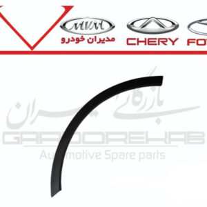 زه دور گلگير عقب چپ تيگو5 نيو