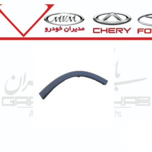 زه دور گلگیر عقب چپ FX